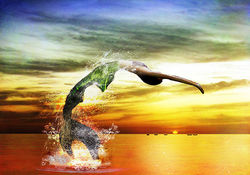 Are There Real Mermaids?