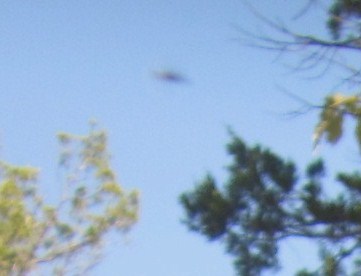 Possible Daytime UFO